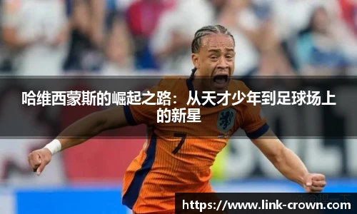 皇冠体育crown官网